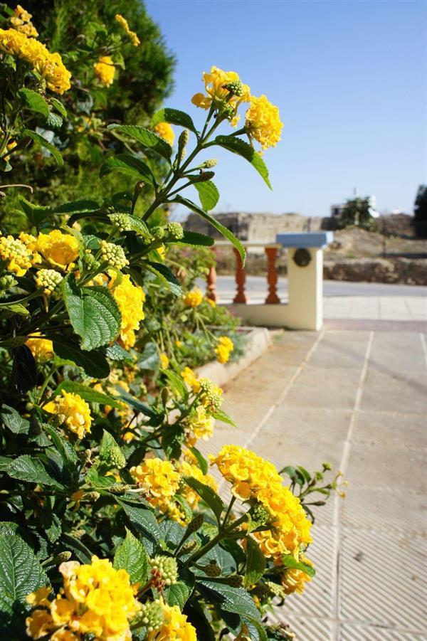 Senses Blue Boutique Hotel Hersonissos  Exterior photo